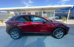 Mazda CX-30 2019