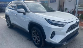Toyota RAV4 2022 full